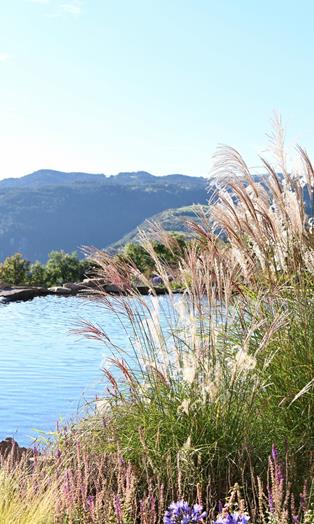 gatschhof-voels-sommer-emotion-view-2825