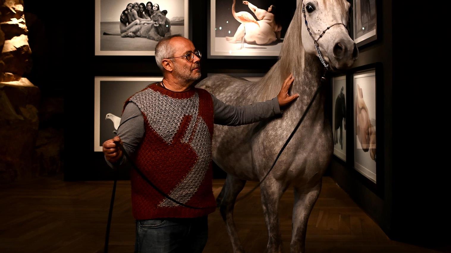 gallaria-voels-art-style-arabian-3601