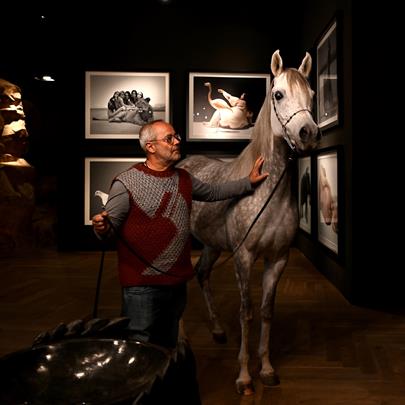 gallaria-voels-art-style-arabian-3601